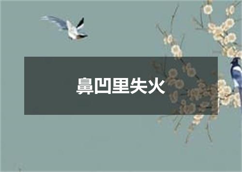 鼻凹里失火