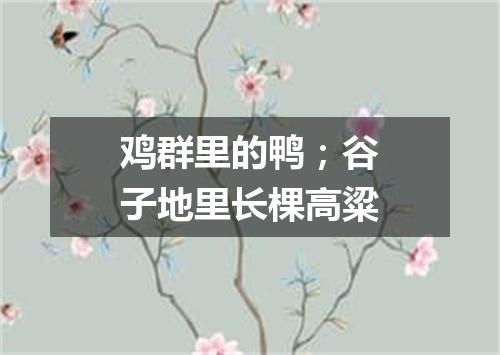 鸡群里的鸭；谷子地里长棵高粱