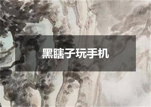 黑瞎子玩手机