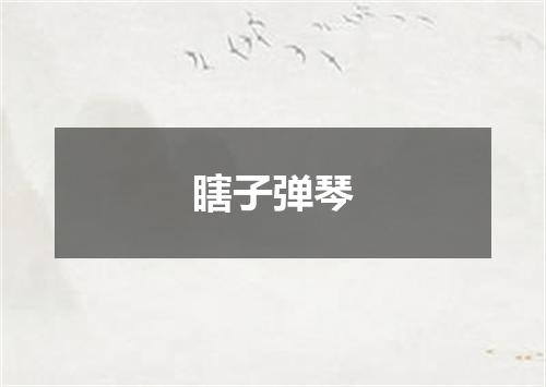 瞎子弹琴