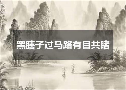 黑瞎子过马路有目共睹