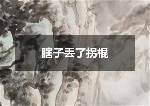 瞎子丢了拐棍