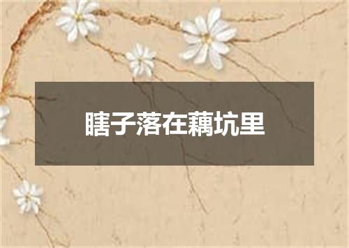 瞎子落在藕坑里