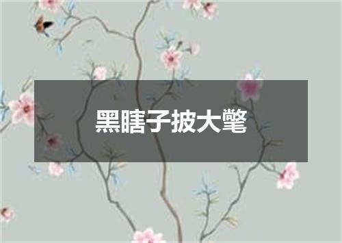 黑瞎子披大氅
