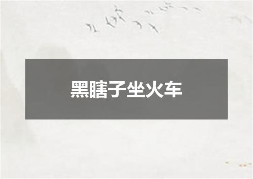 黑瞎子坐火车