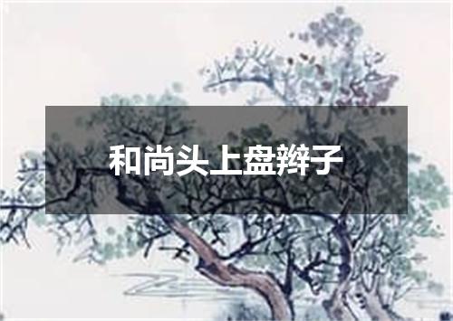 和尚头上盘辫子