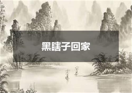 黑瞎子回家