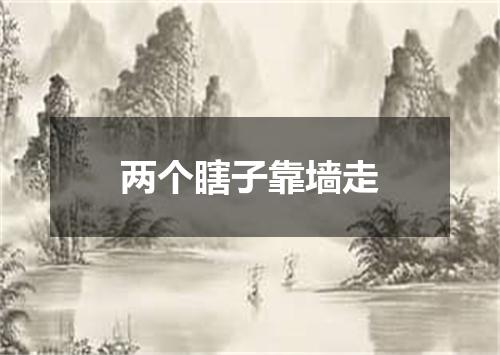 两个瞎子靠墙走