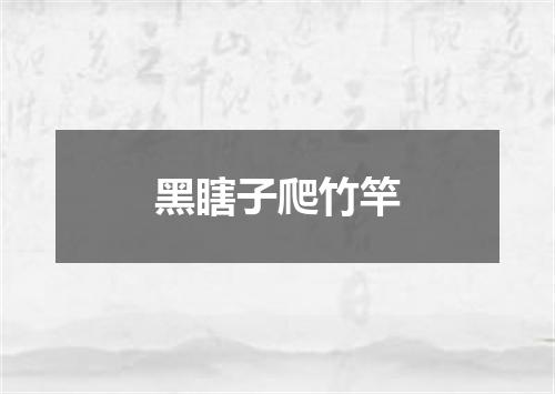 黑瞎子爬竹竿