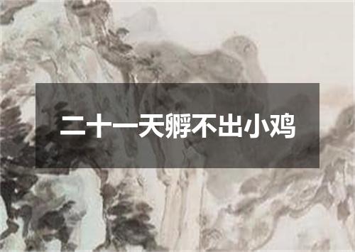 二十一天孵不出小鸡