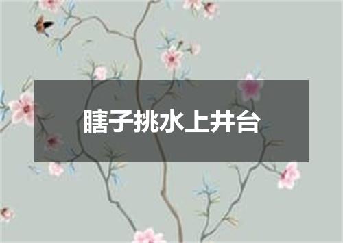 瞎子挑水上井台