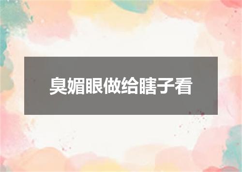 臭媚眼做给瞎子看