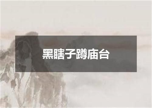 黑瞎子蹲庙台