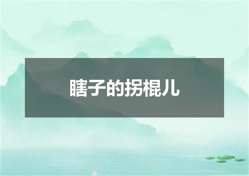 瞎子的拐棍儿