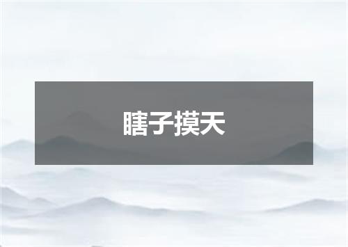 瞎子摸天