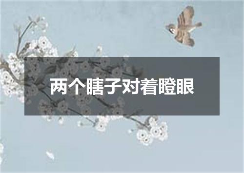 两个瞎子对着瞪眼