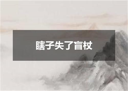 瞎子失了盲杖