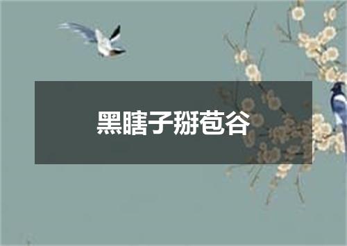 黑瞎子掰苞谷