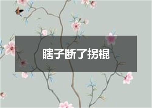 瞎子断了拐棍