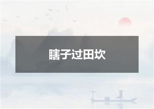 瞎子过田坎