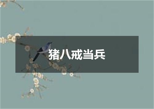 猪八戒当兵