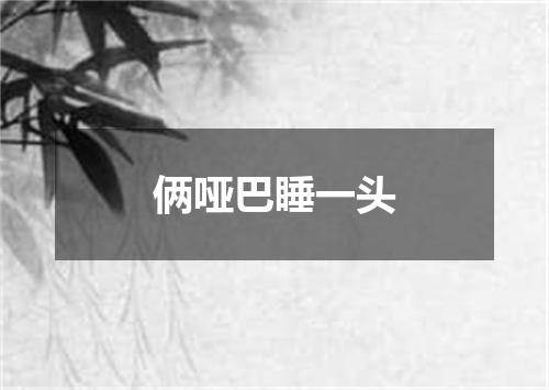俩哑巴睡一头