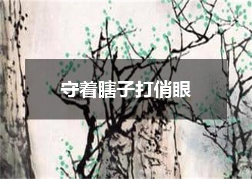 守着瞎子打俏眼