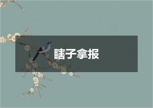 瞎子拿报