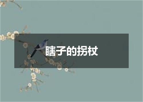 瞎子的拐杖