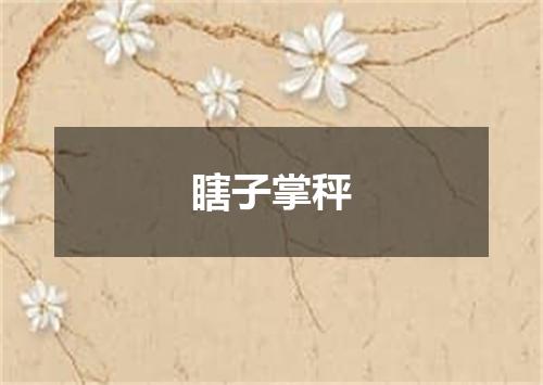 瞎子掌秤