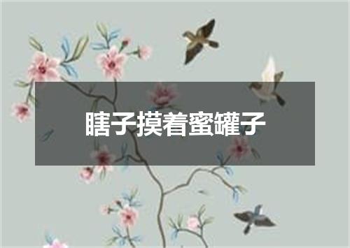 瞎子摸着蜜罐子
