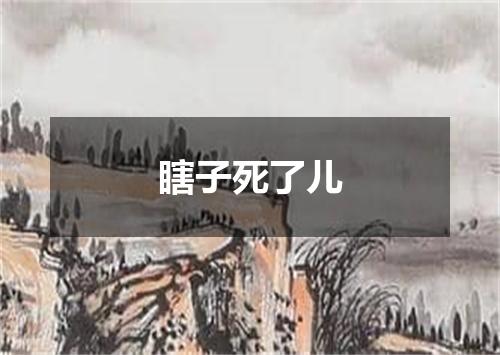 瞎子死了儿