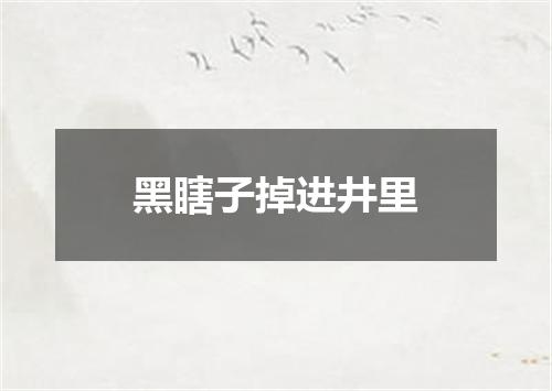 黑瞎子掉进井里