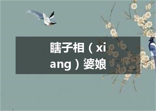 瞎子相（xiang）婆娘