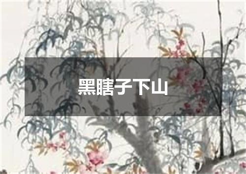黑瞎子下山