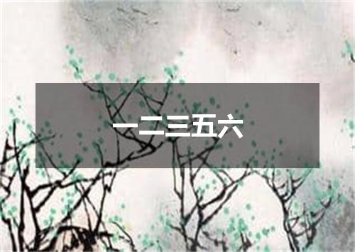 一二三五六