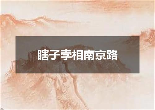 瞎子孛相南京路