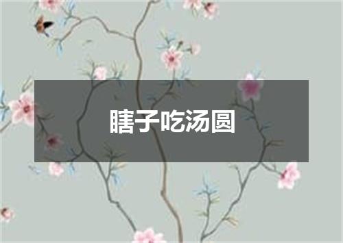 瞎子吃汤圆