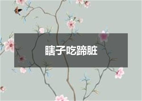 瞎子吃蹄脏