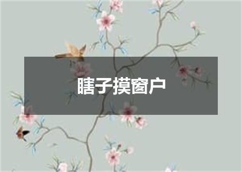 瞎子摸窗户