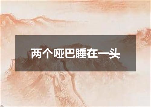 两个哑巴睡在一头