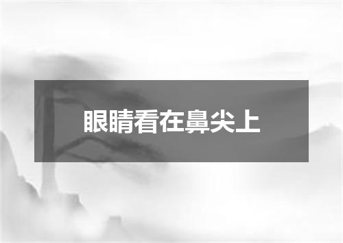 眼睛看在鼻尖上
