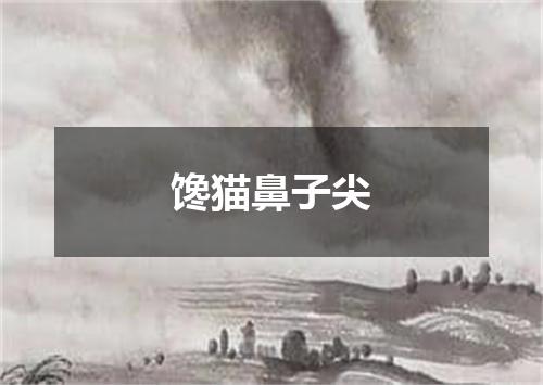 馋猫鼻子尖
