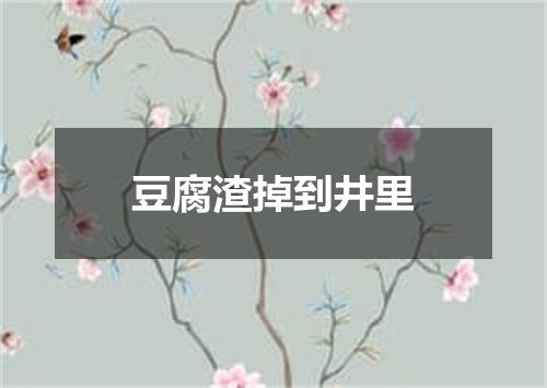 豆腐渣掉到井里