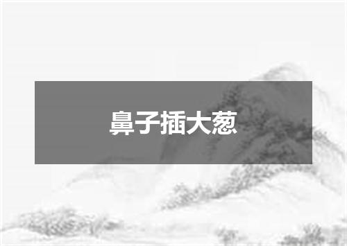 鼻子插大葱