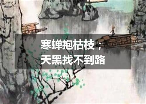 寒蝉抱枯枝；天黑找不到路