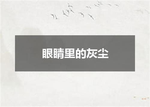 眼睛里的灰尘