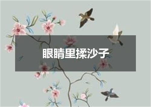 眼睛里揉沙子