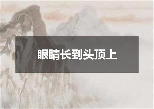 眼睛长到头顶上