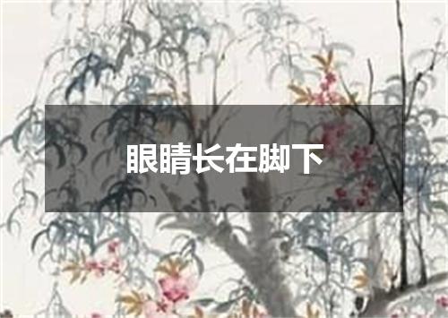 眼睛长在脚下